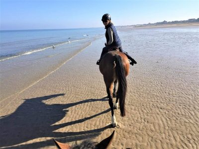 horseback riding at low tide Credit Francis Gazengel