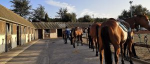 equitation centre equestre courseulles sur mer